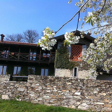 Il Ciliegio Selvatico Verbania Exterior foto
