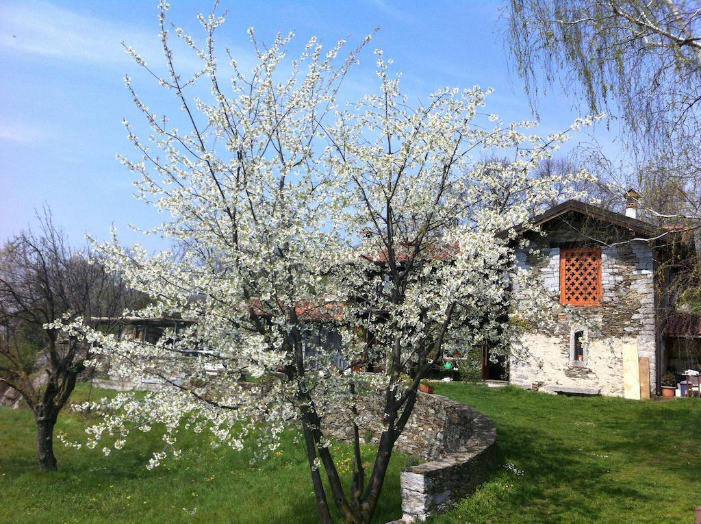 Il Ciliegio Selvatico Verbania Exterior foto