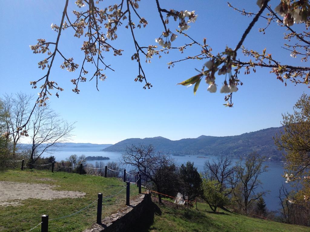 Il Ciliegio Selvatico Verbania Exterior foto