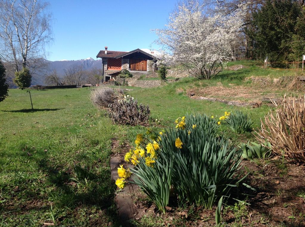 Il Ciliegio Selvatico Verbania Exterior foto