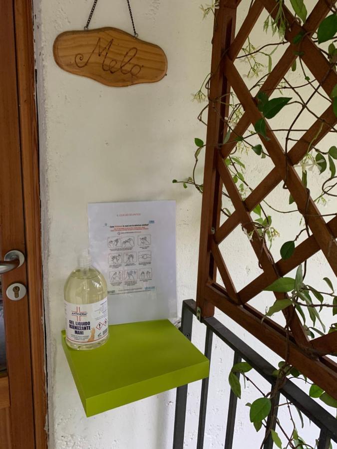 Il Ciliegio Selvatico Verbania Exterior foto